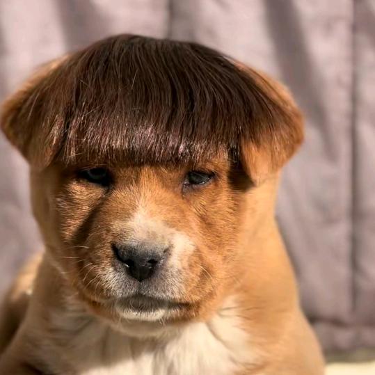 其实，我很帅！