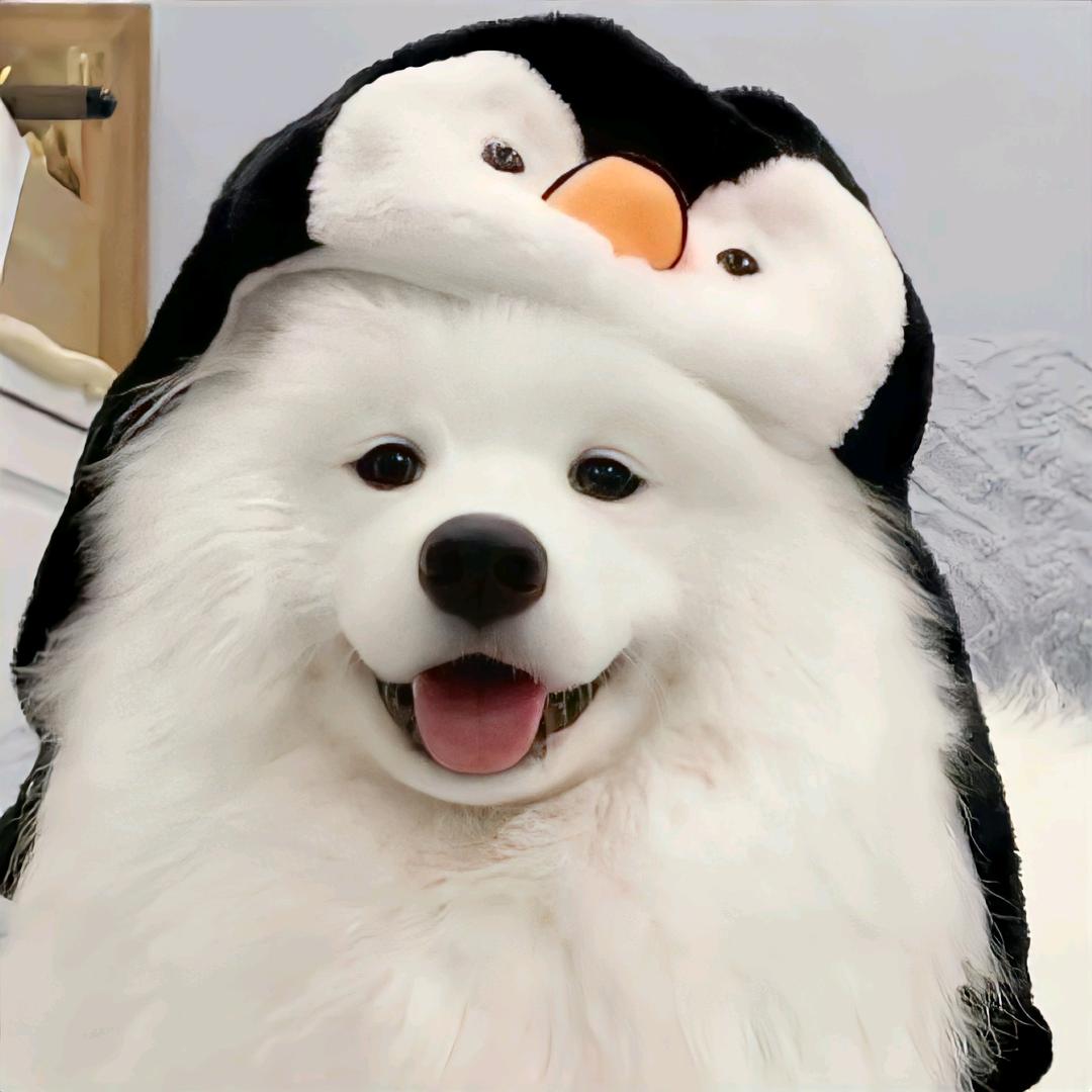 这就好