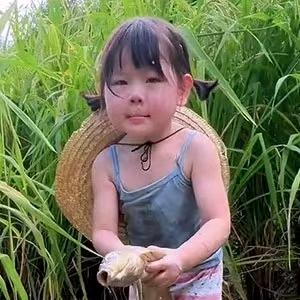 日常抓鱼🐟