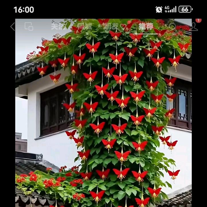 人🍁生🥜如🍷茶🍵