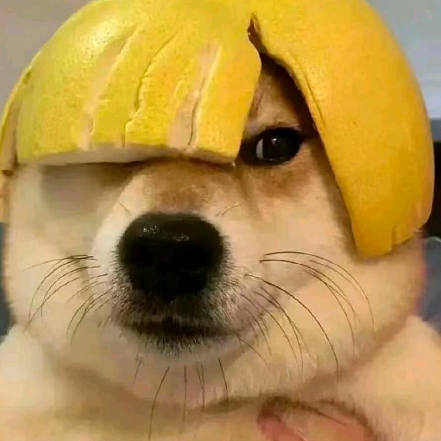 刘昌国（抽象一哥）