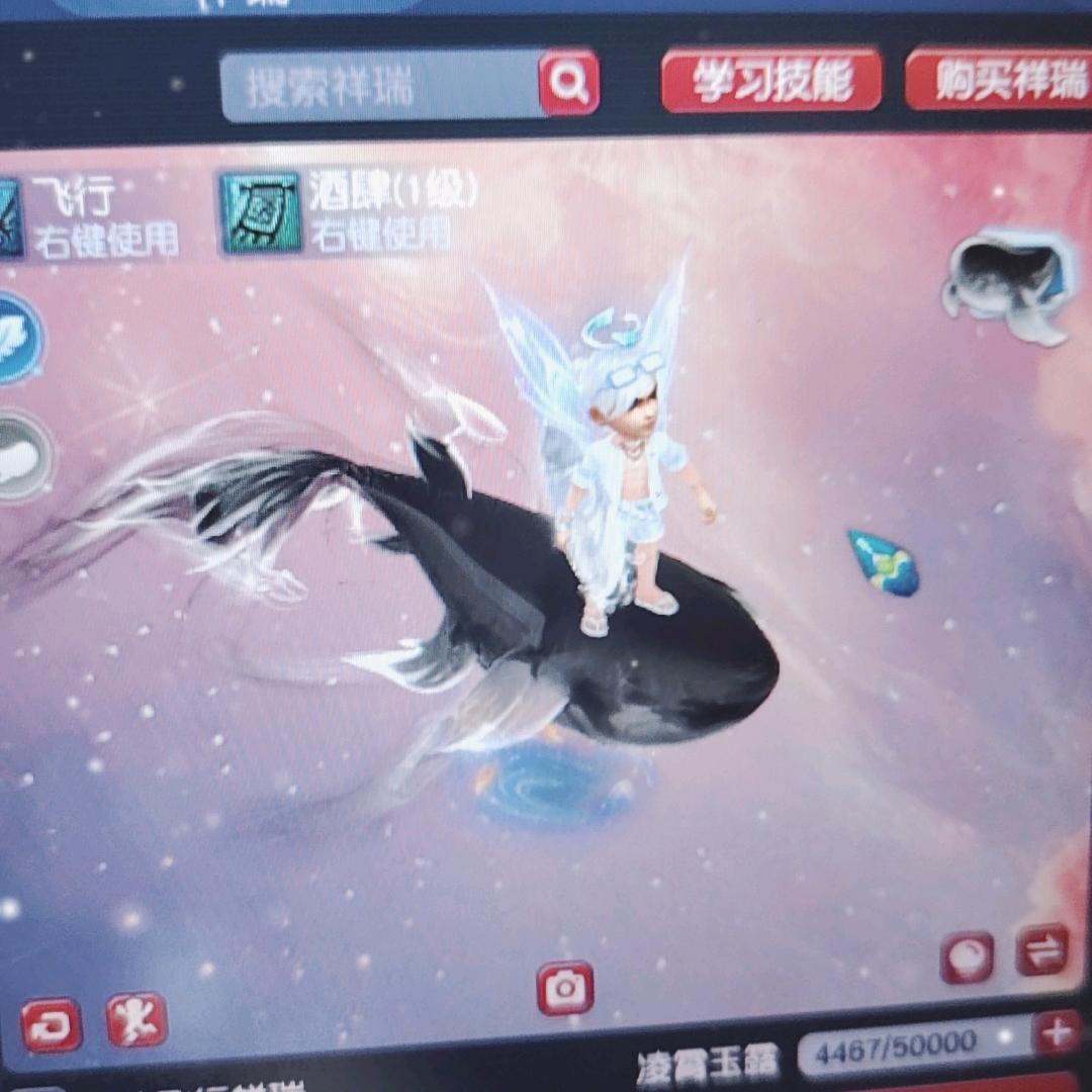 梦幻西游石头