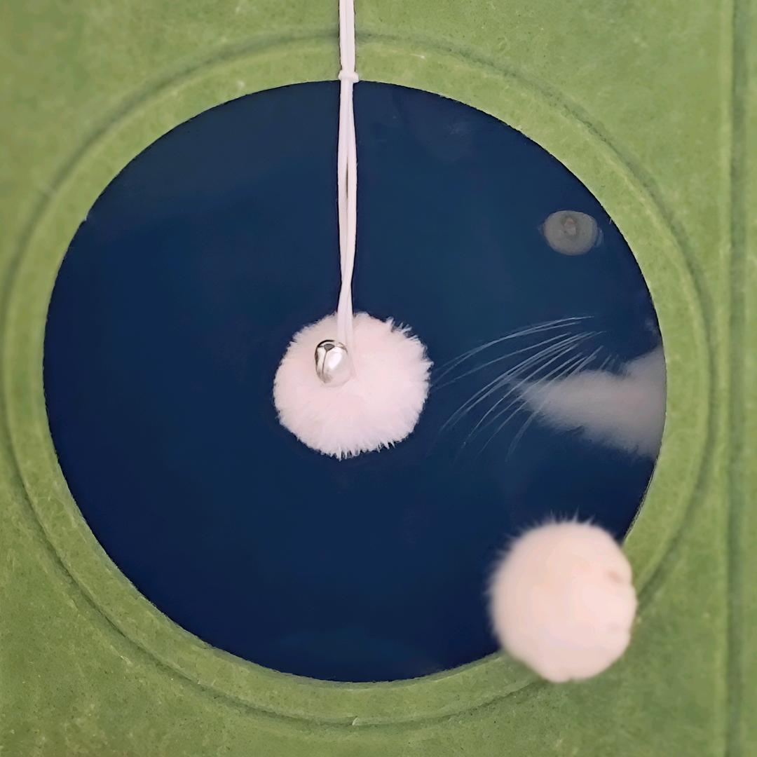 余虞钰