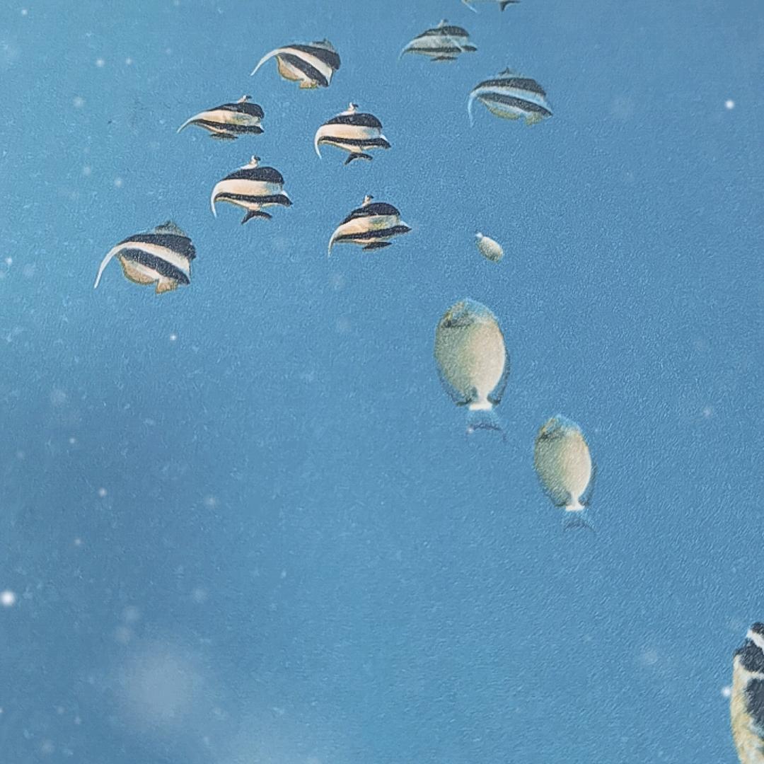 陈晨