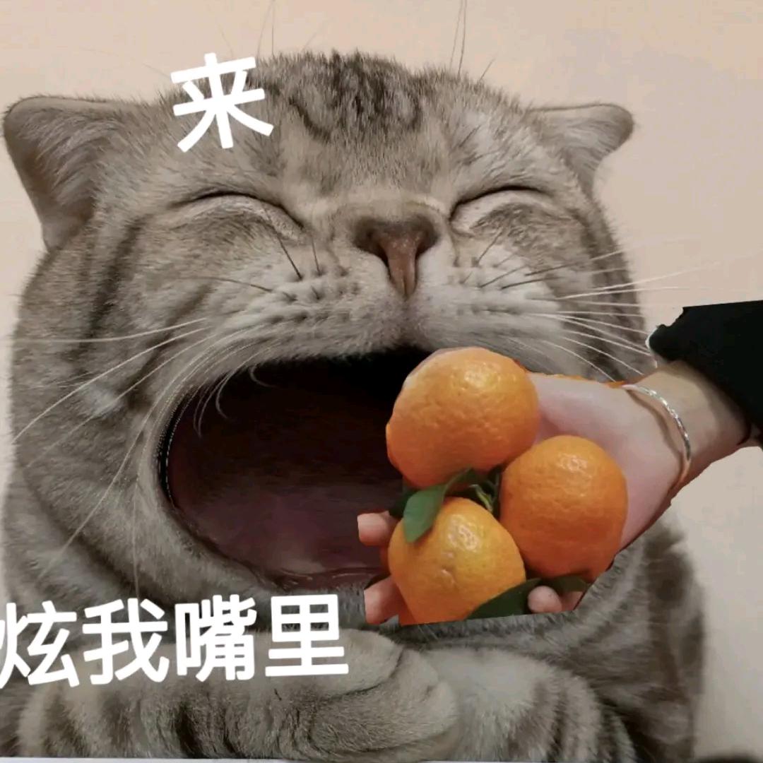 三蔓子定制羽绒服(品牌工厂店)