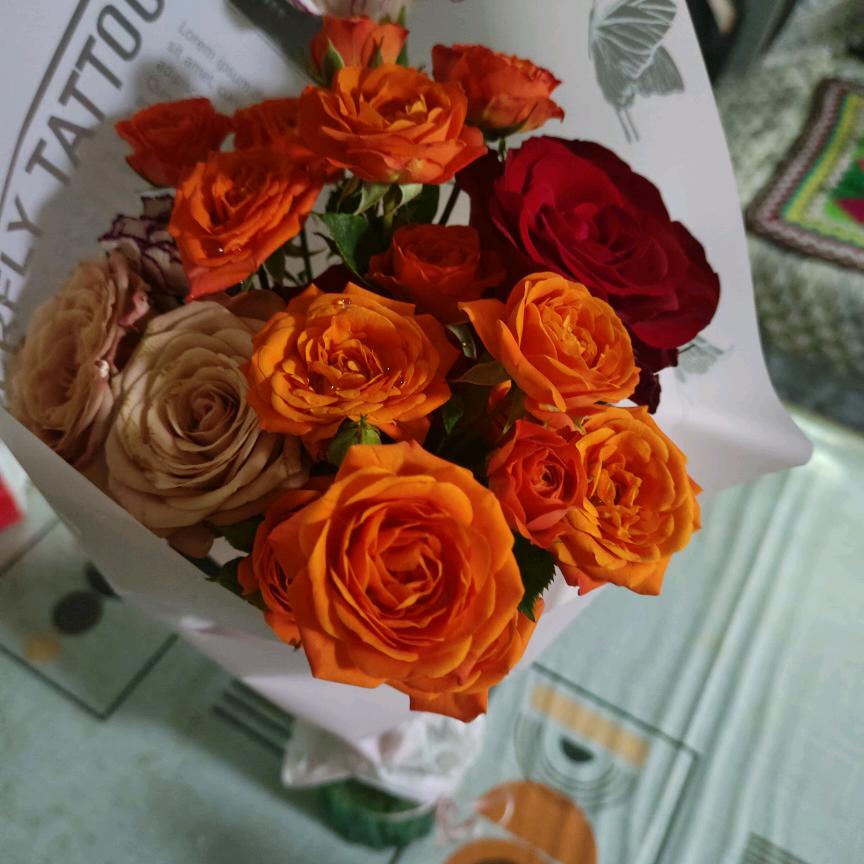 @似水流年🌹