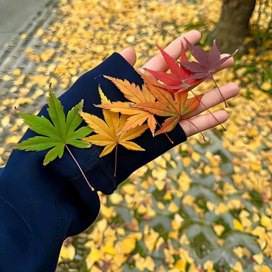 游戏王
