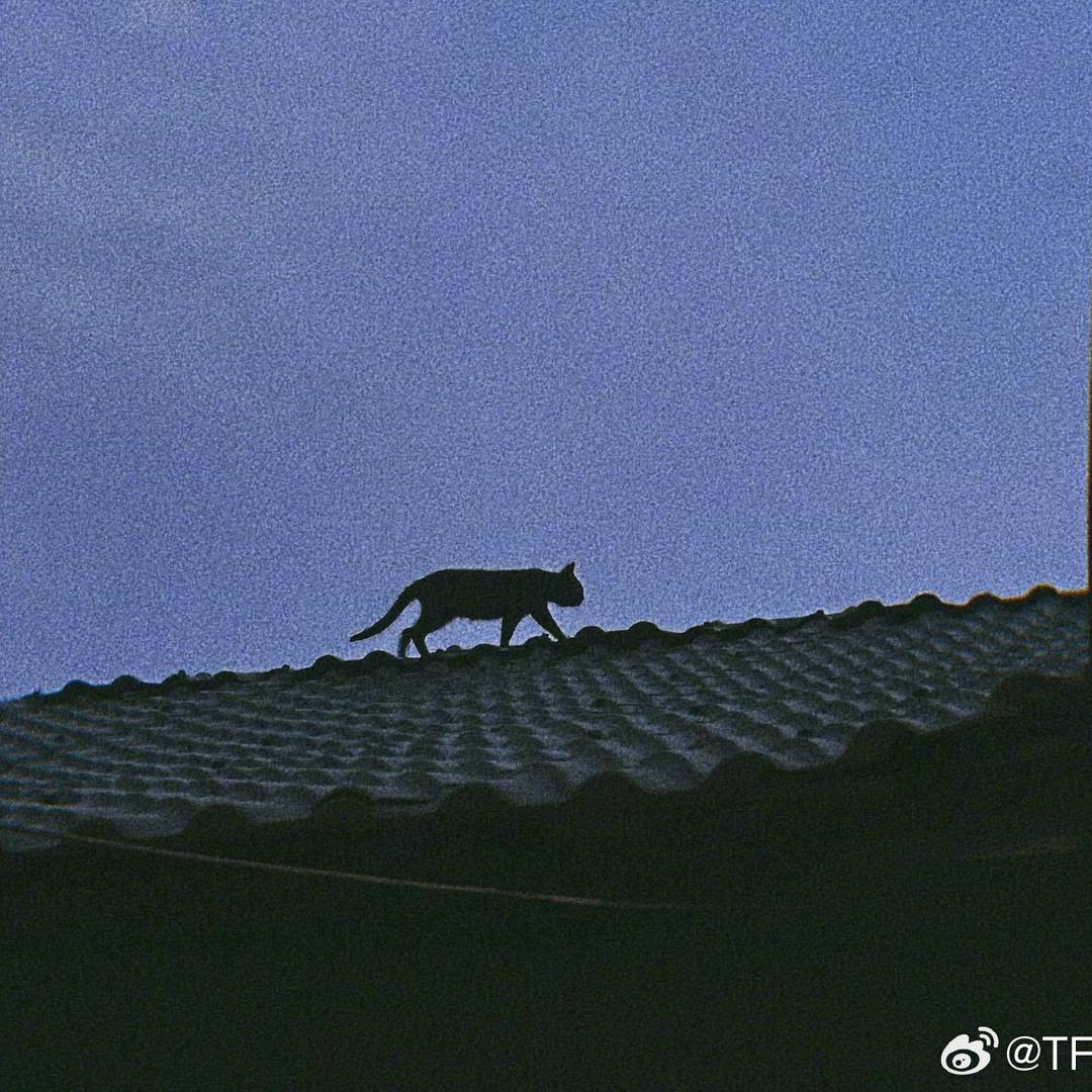 轻松熊