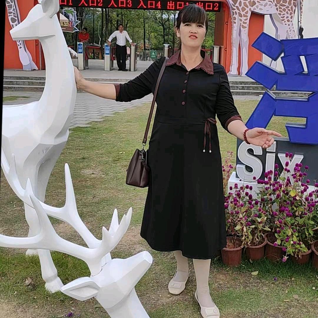 含羞草百货商铺