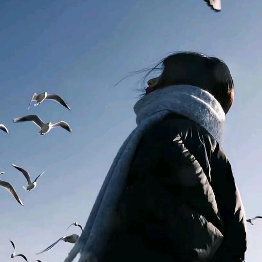 ღ꧂丽꧁@@橱窗有好物