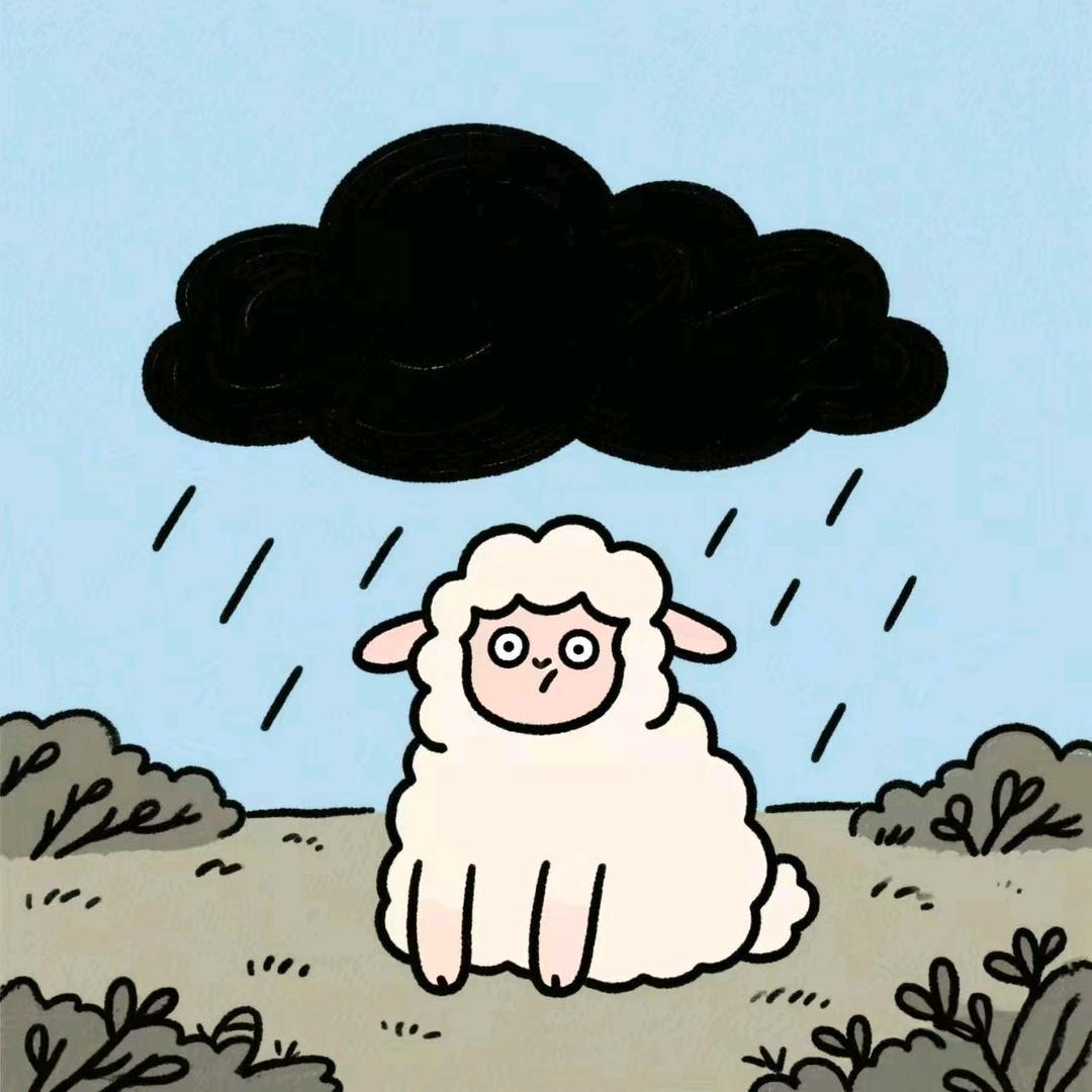 等雨的绵羊