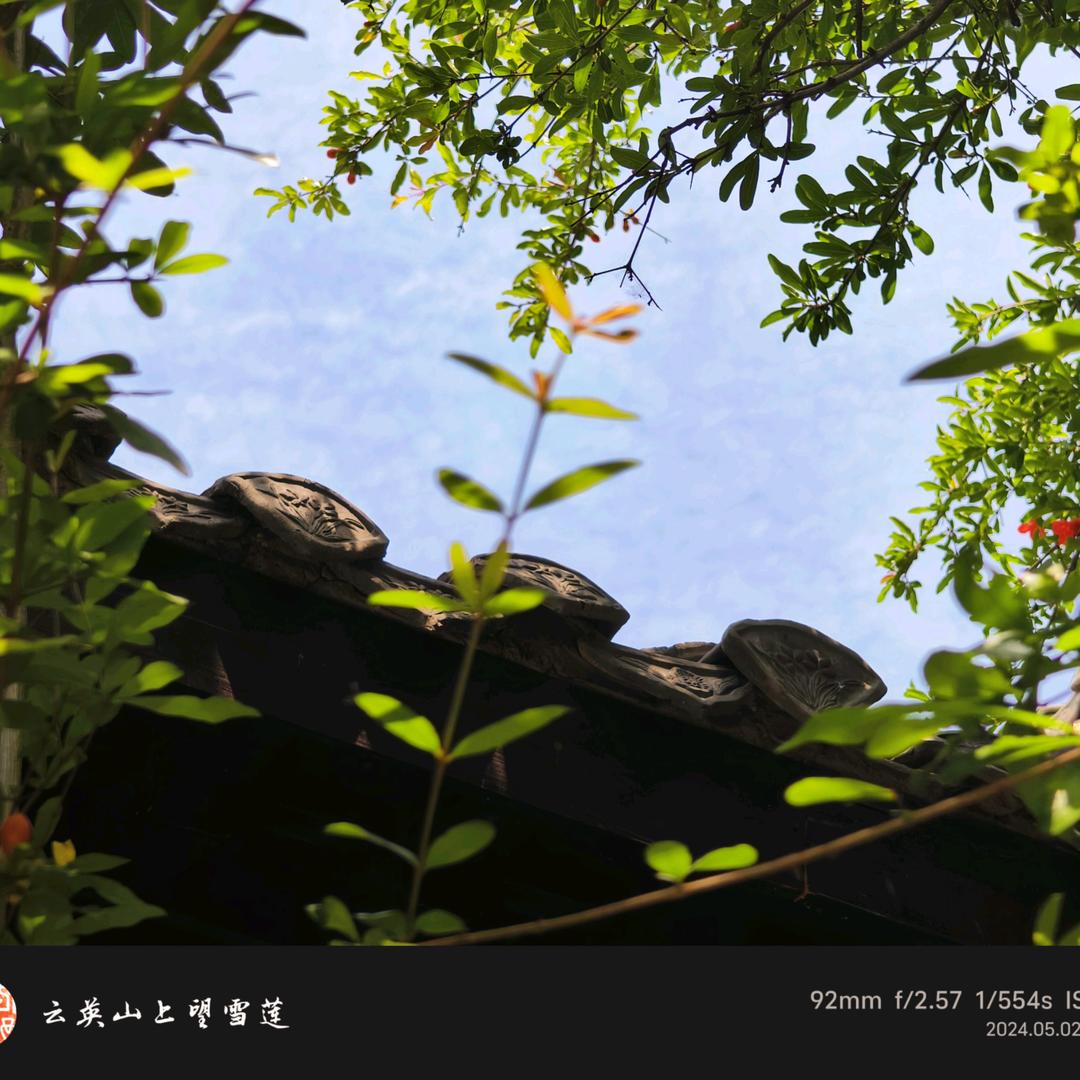 颍州牧在北大附教历史