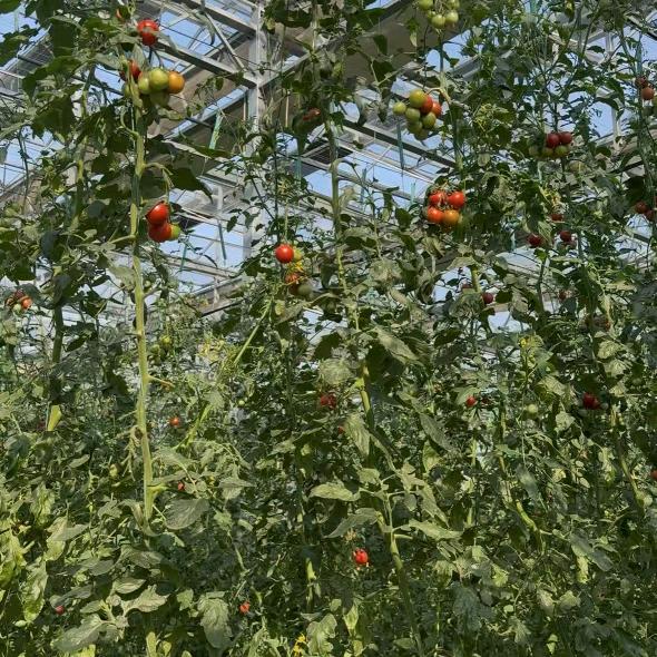 佳善农业科技好货店