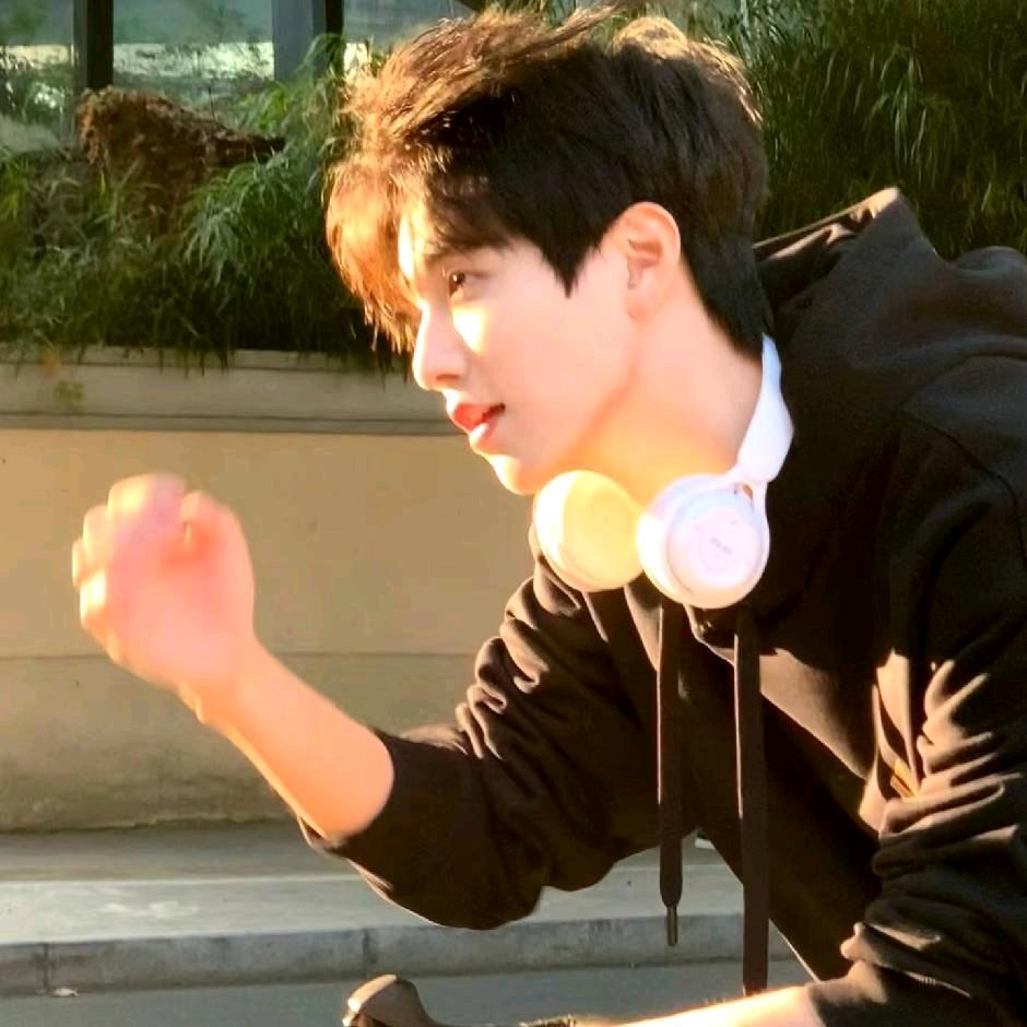 Gold Handsome Zhu