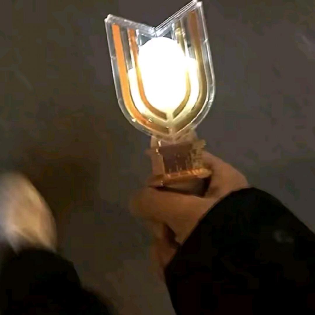 忆落枫