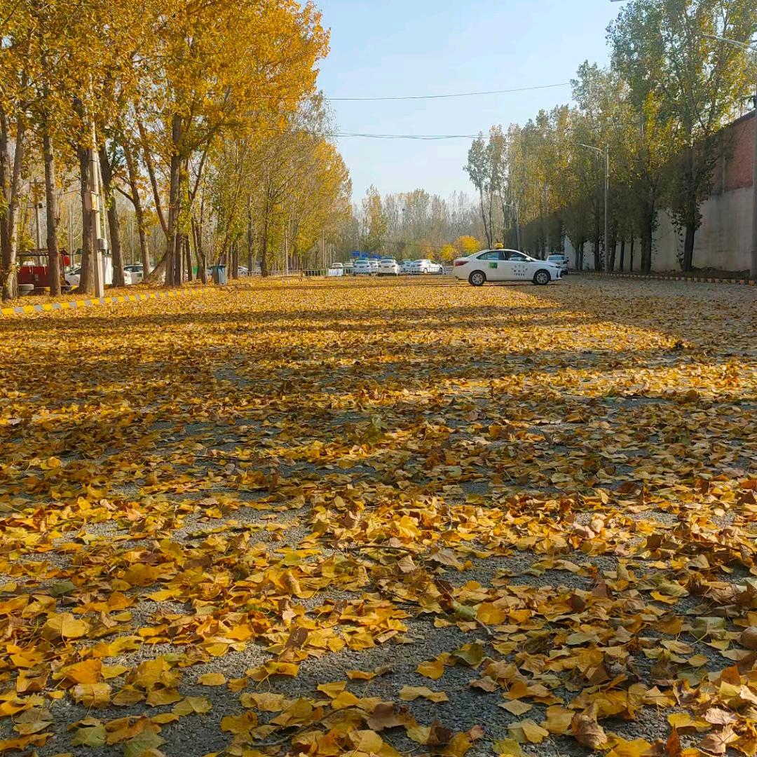 爱财爱己，风声水起