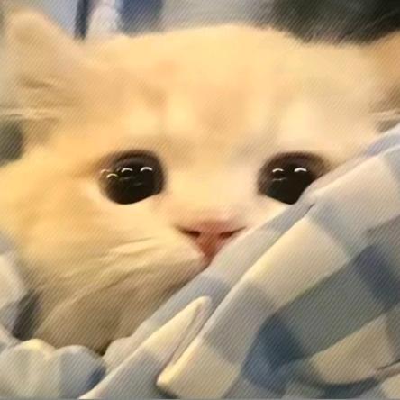 故小渊