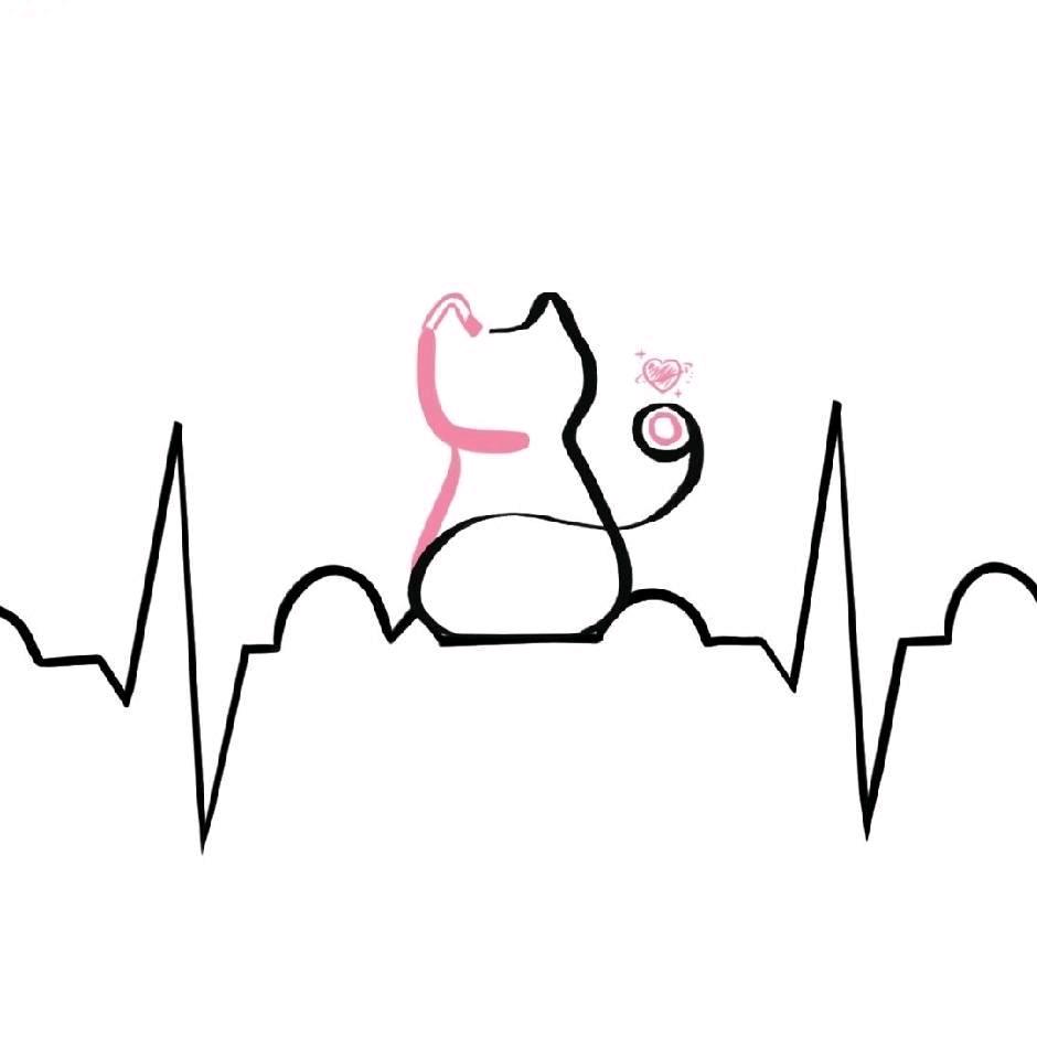 临床医学心内硕士学长