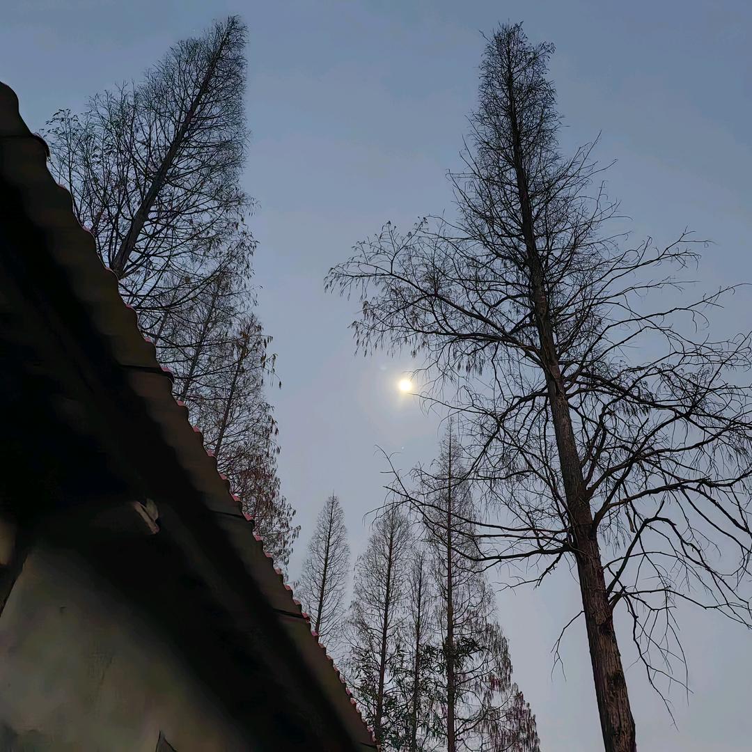 小小