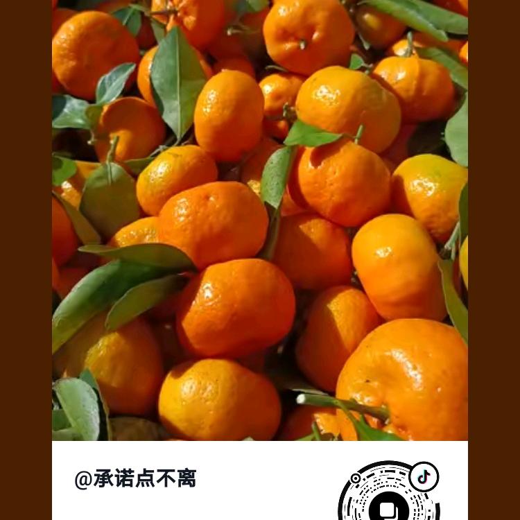 永远前行，春意珍贵。