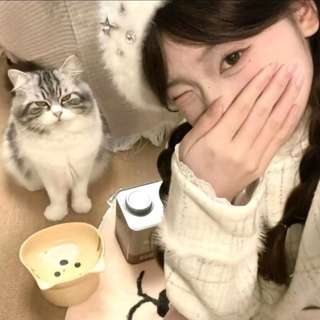 X﹏X