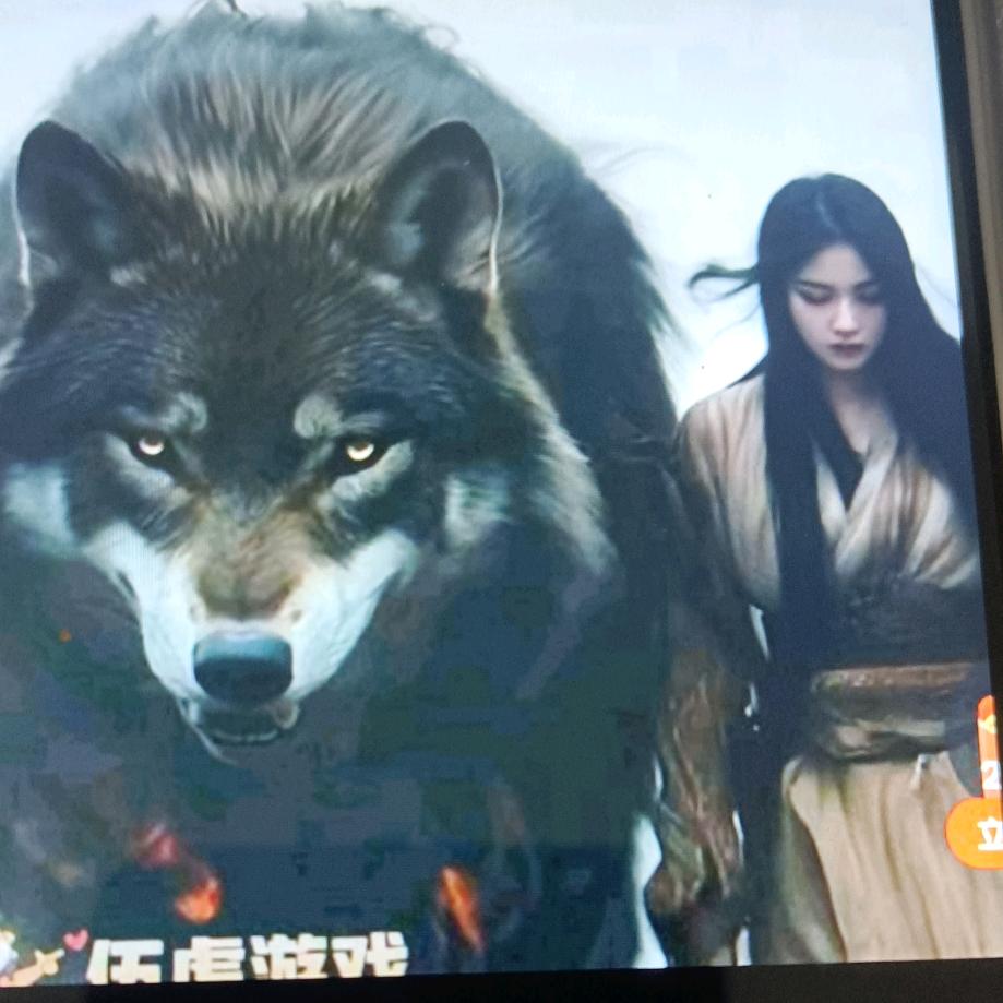 掉了左臂的狼一匹受了伤的狼