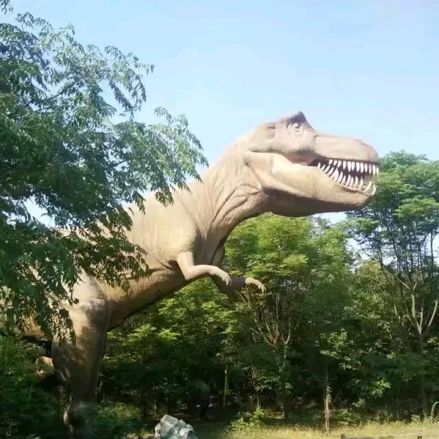 不善言辞张先生