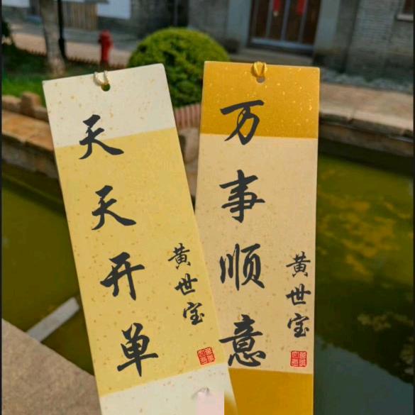 银海宝哥头像