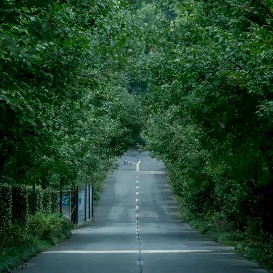 合适(买车修车找我就行)