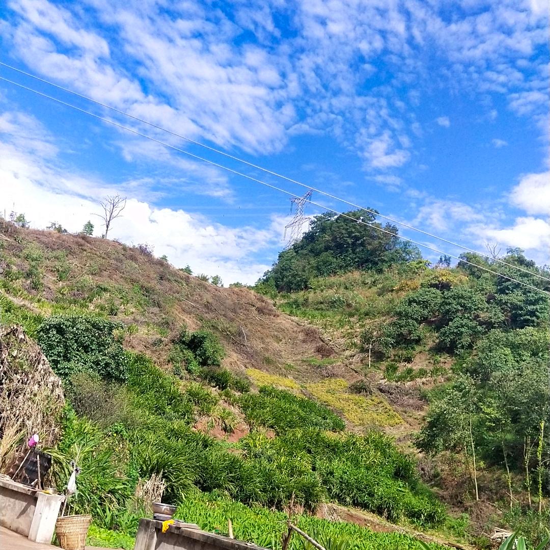 ღ浅᭄笑꧔ꦿ᭄不💞语 ღ᭄: