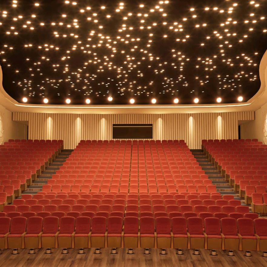 泰兴苏利大剧院