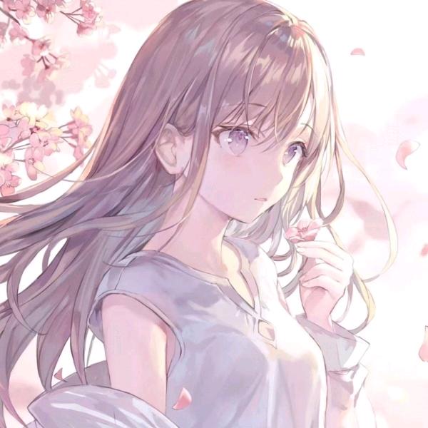 妃款心选
