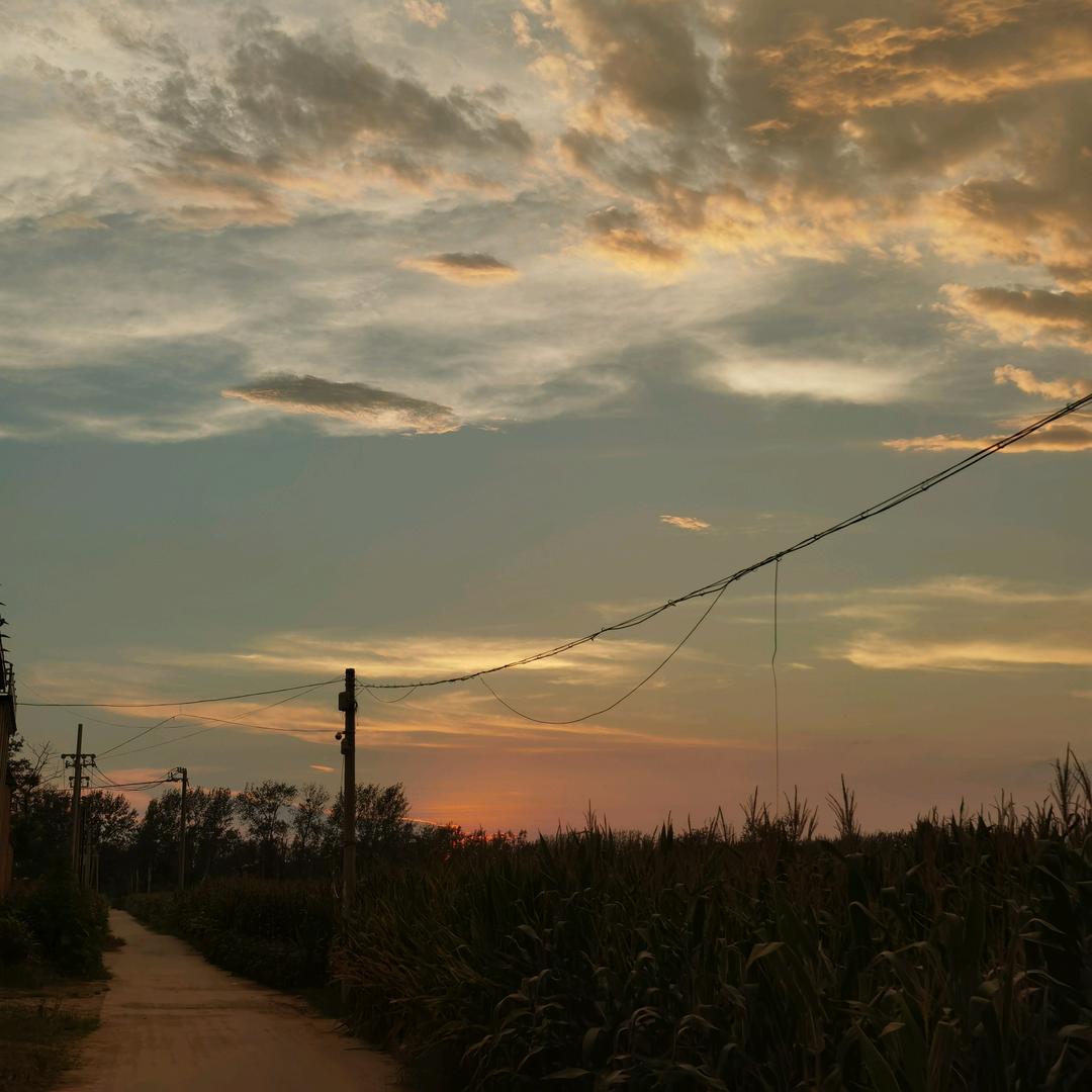 本地生活商家入驻一站式服务