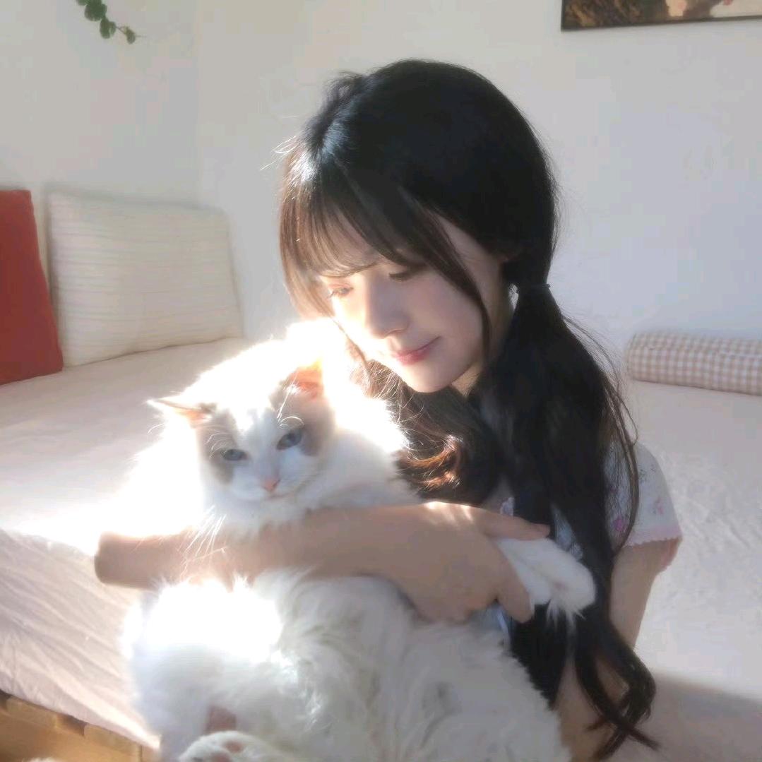 安小雾ᰔ