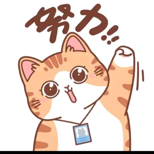 赵羽菲