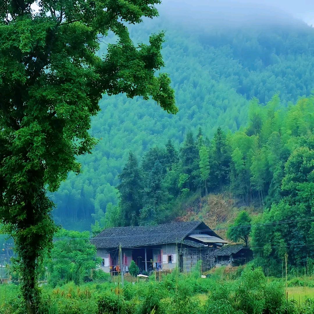 山野特产