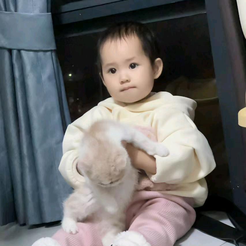 苏琪啊👨‍👩‍👧