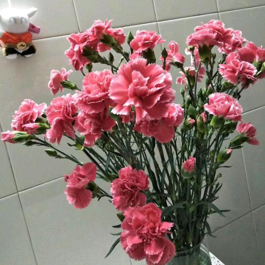 往事如风