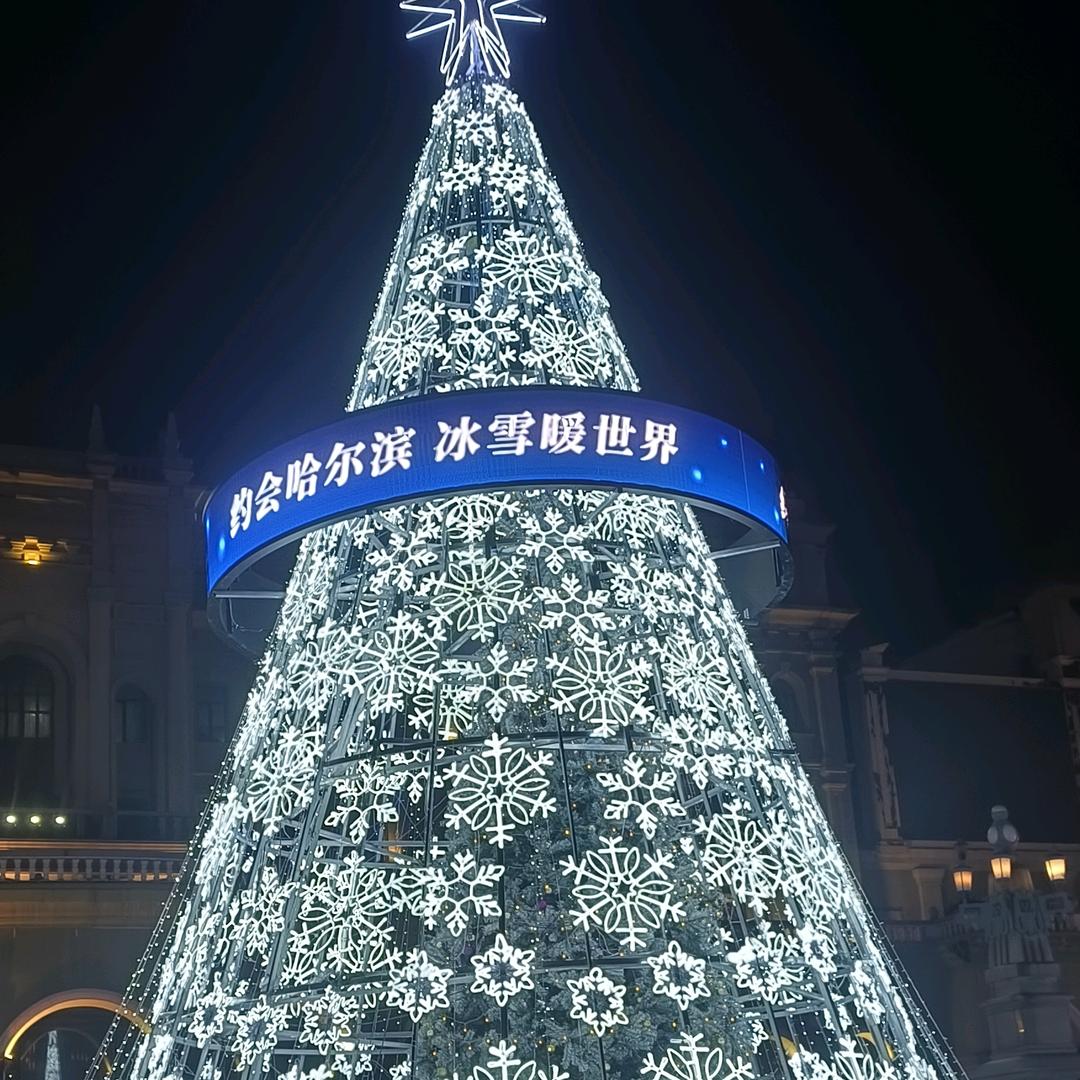╰☆繁华の丽☆🦖