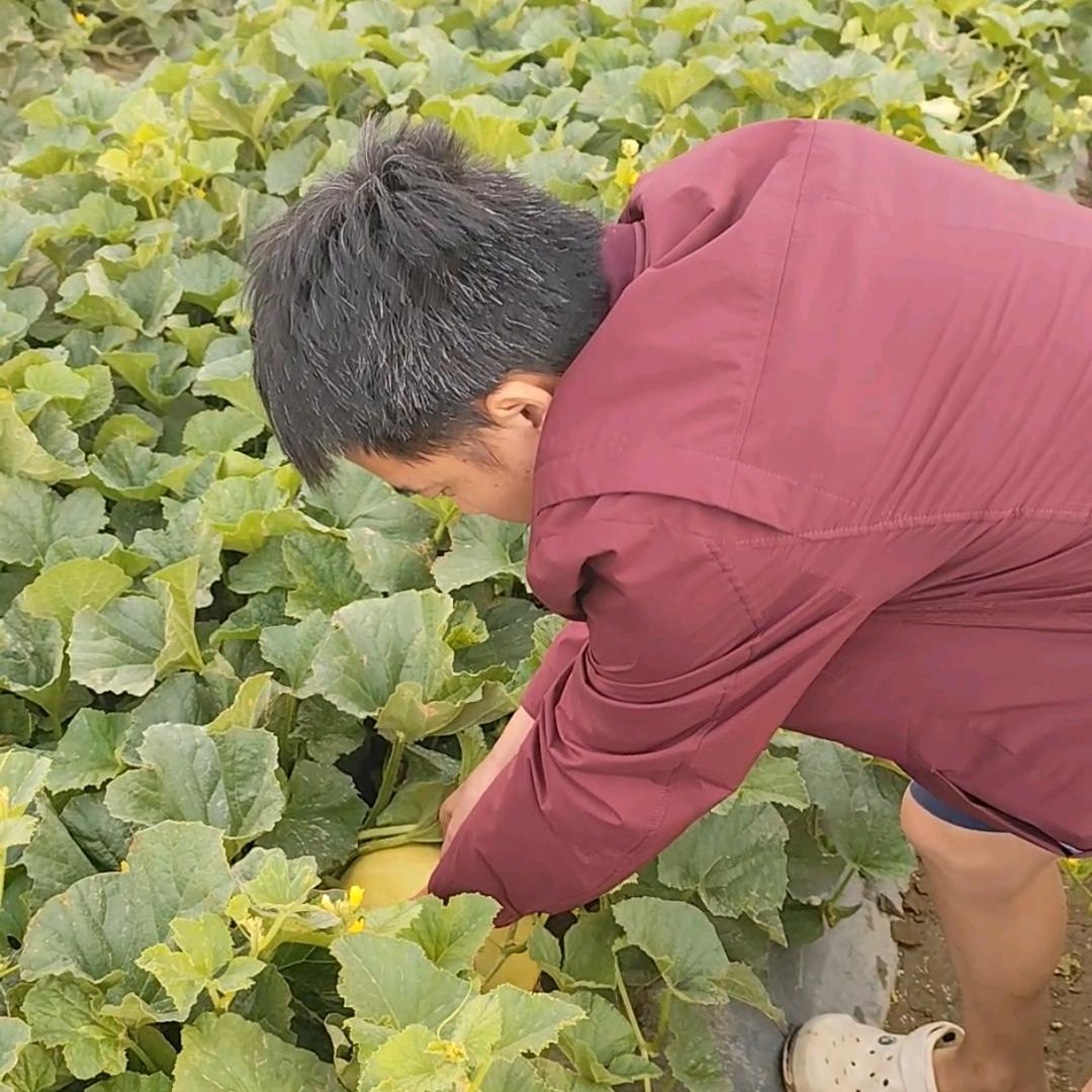 小魏臻选水果优品店