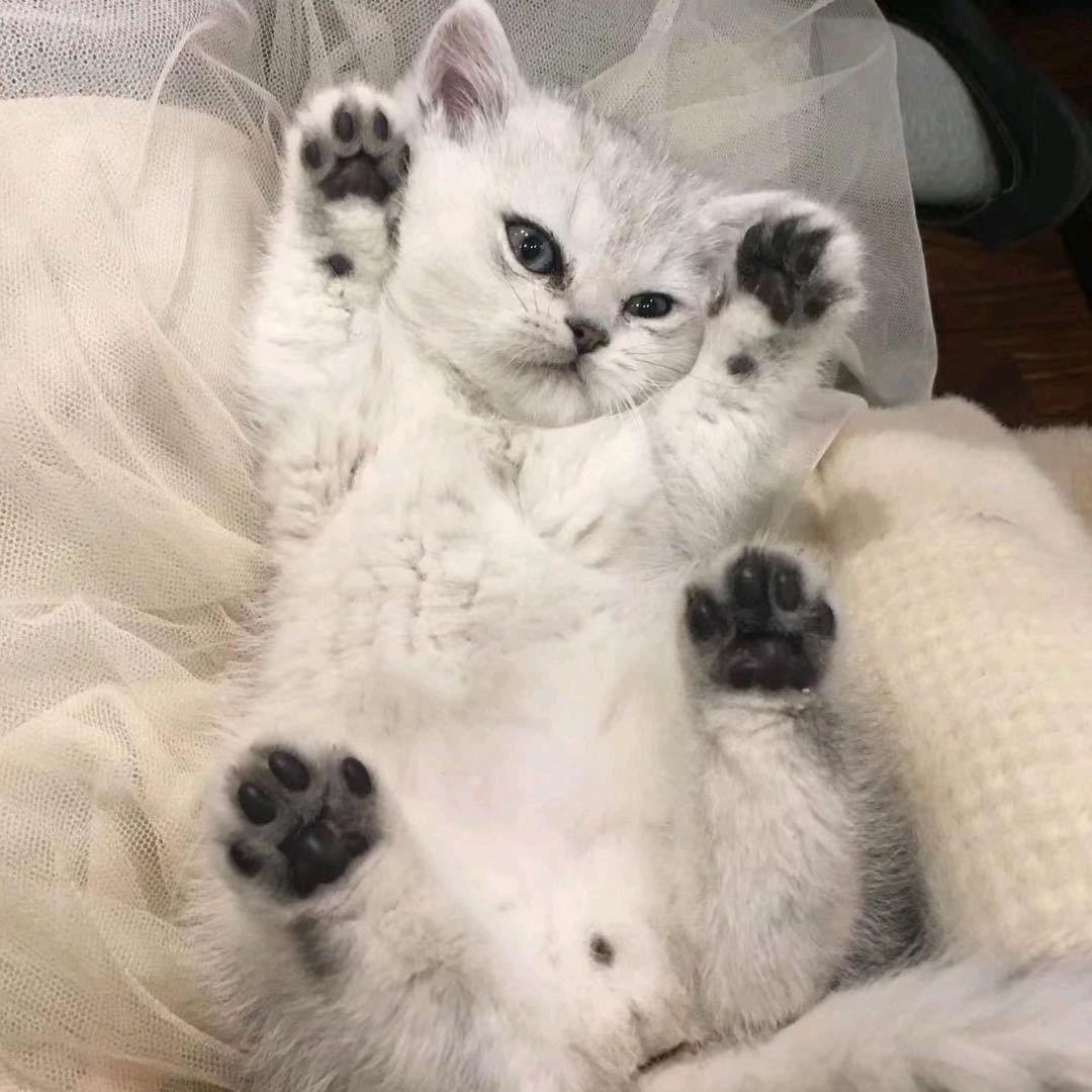 会理0812街舞官方号