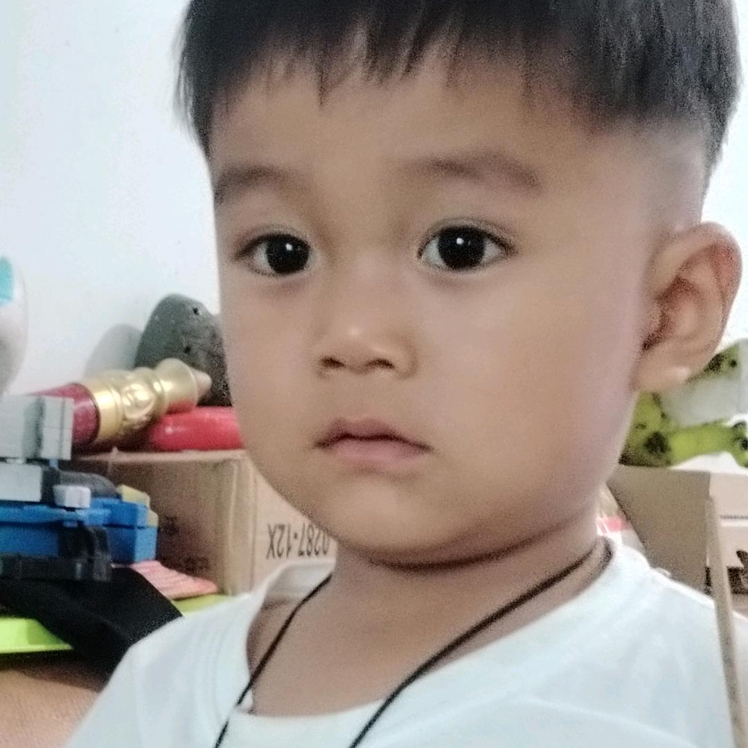老马