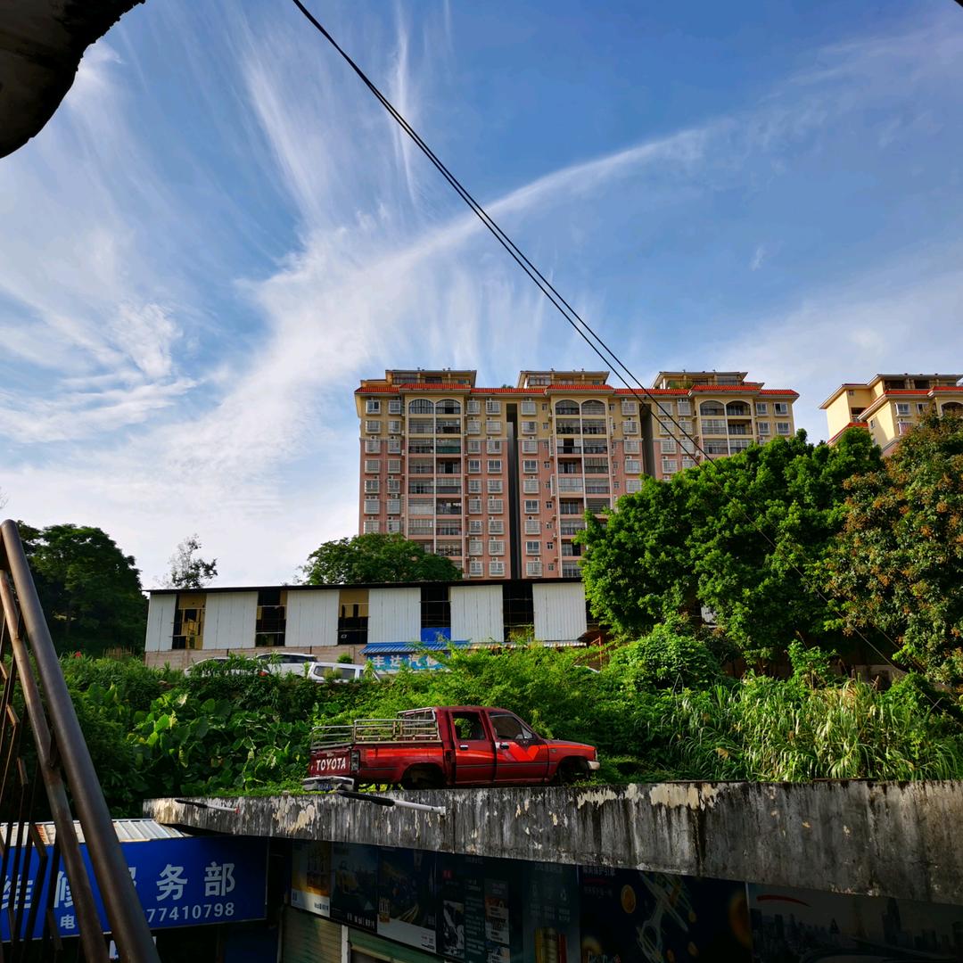 随灯头像