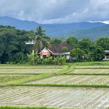 ༺༃缘༒莫༃༻