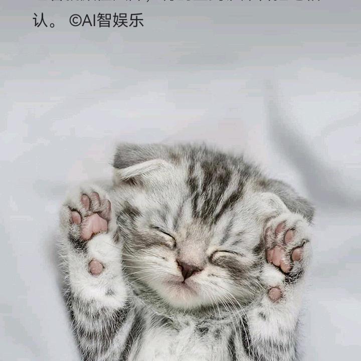 狗仔