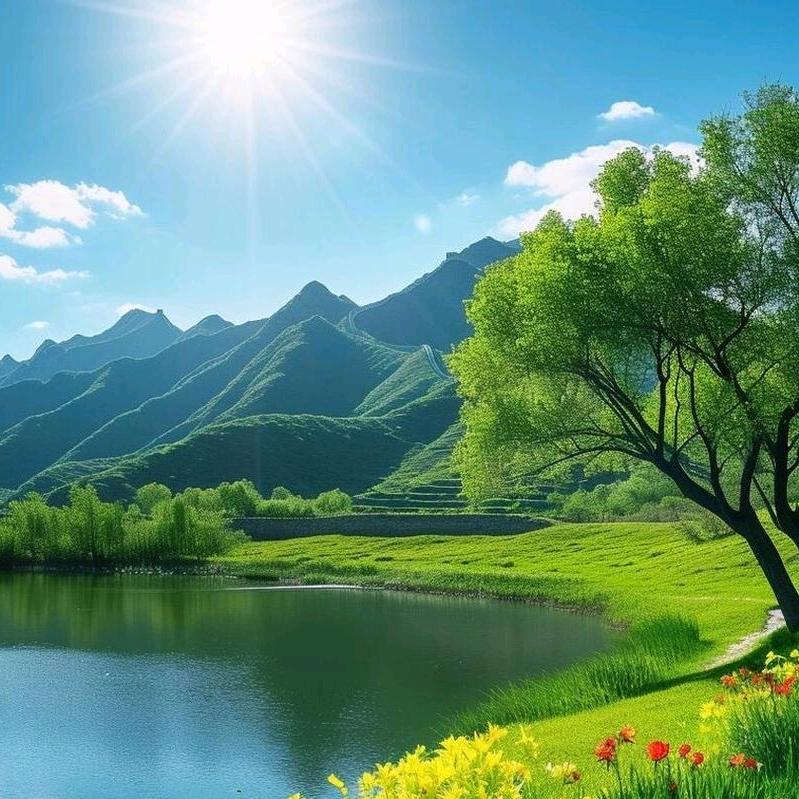 ღ᭄ꦿ꯭如ঞৣঁ愿পღ᭄已回国