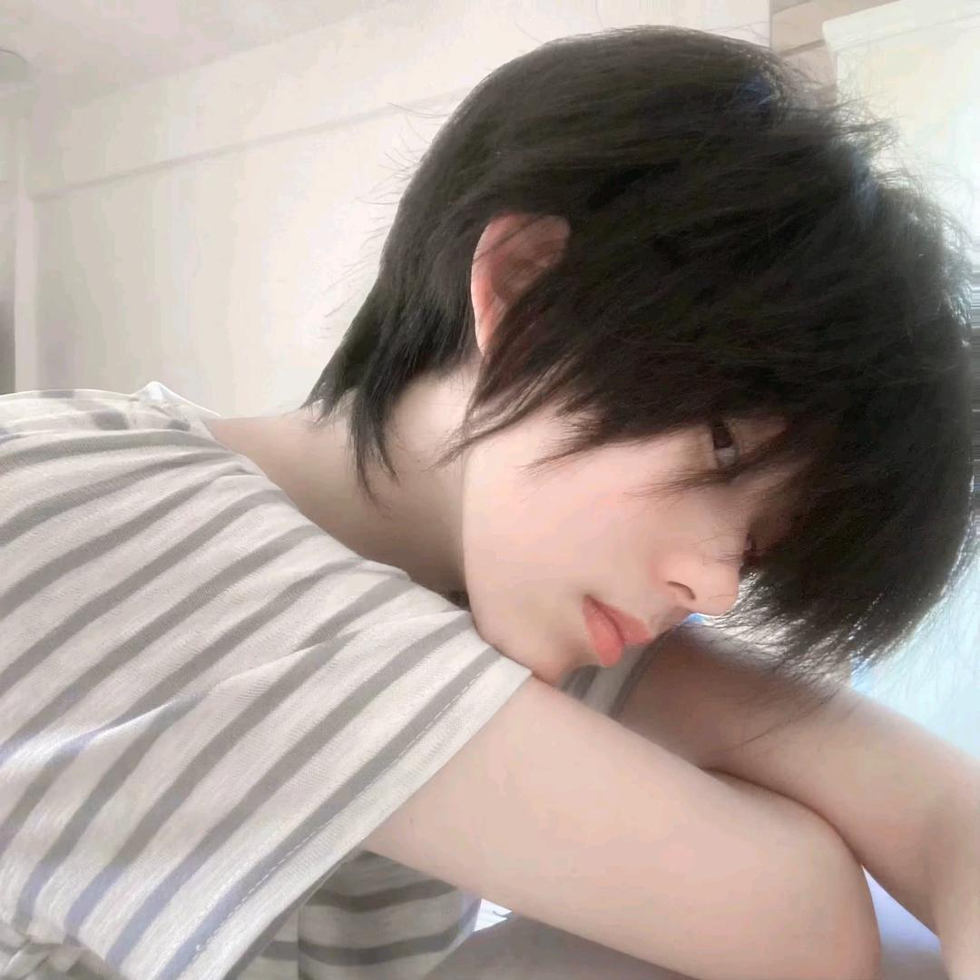 晨晨的小狗