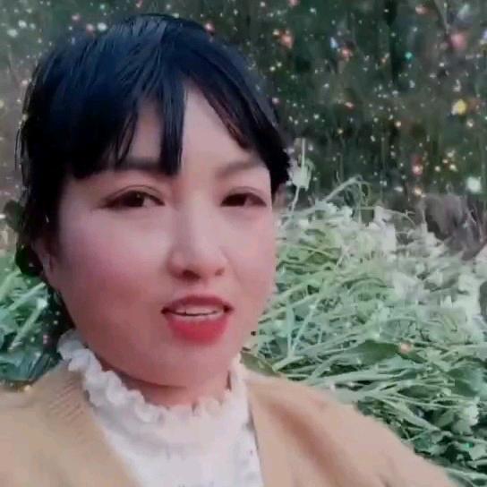 樱花涵