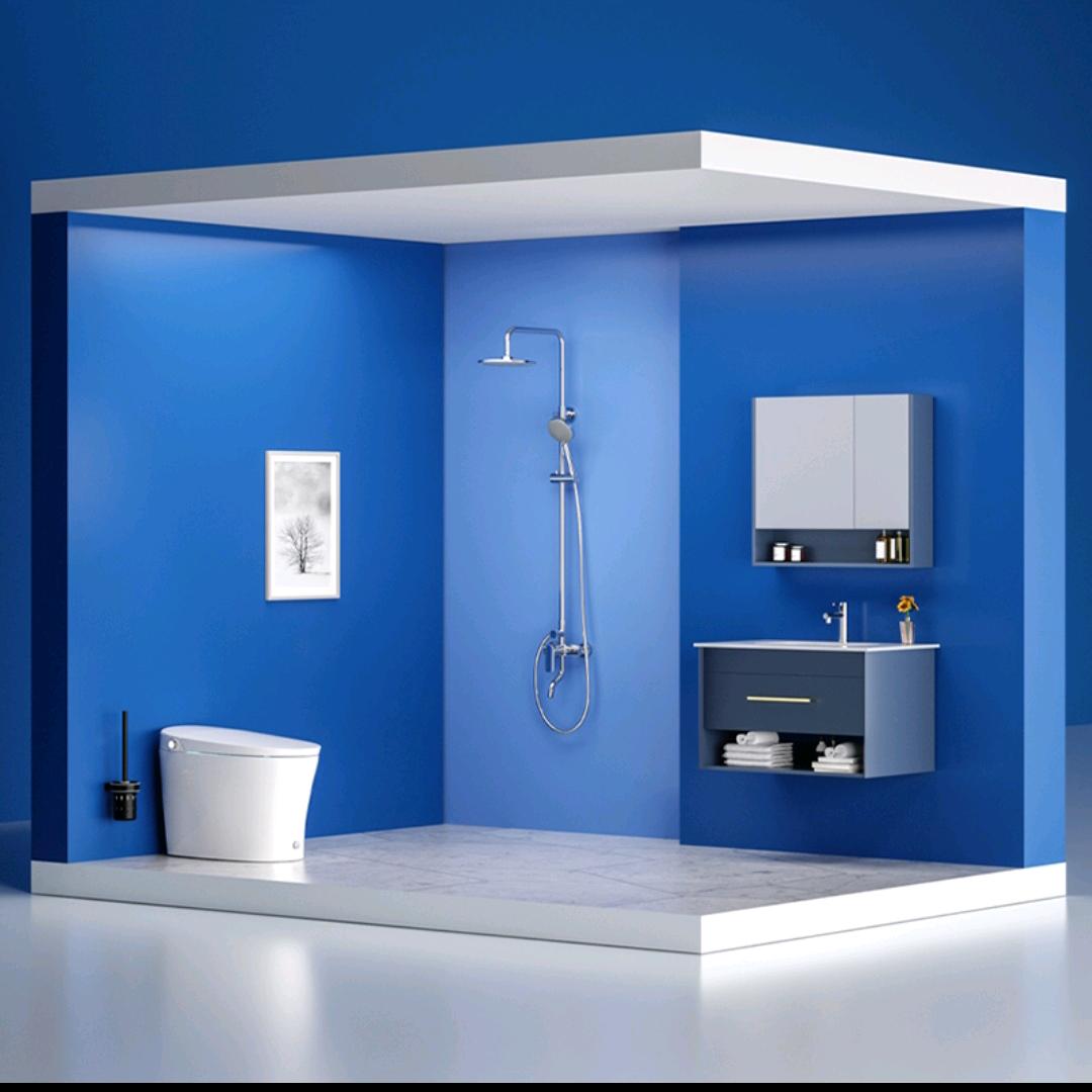 衡水顺芳卫浴批发