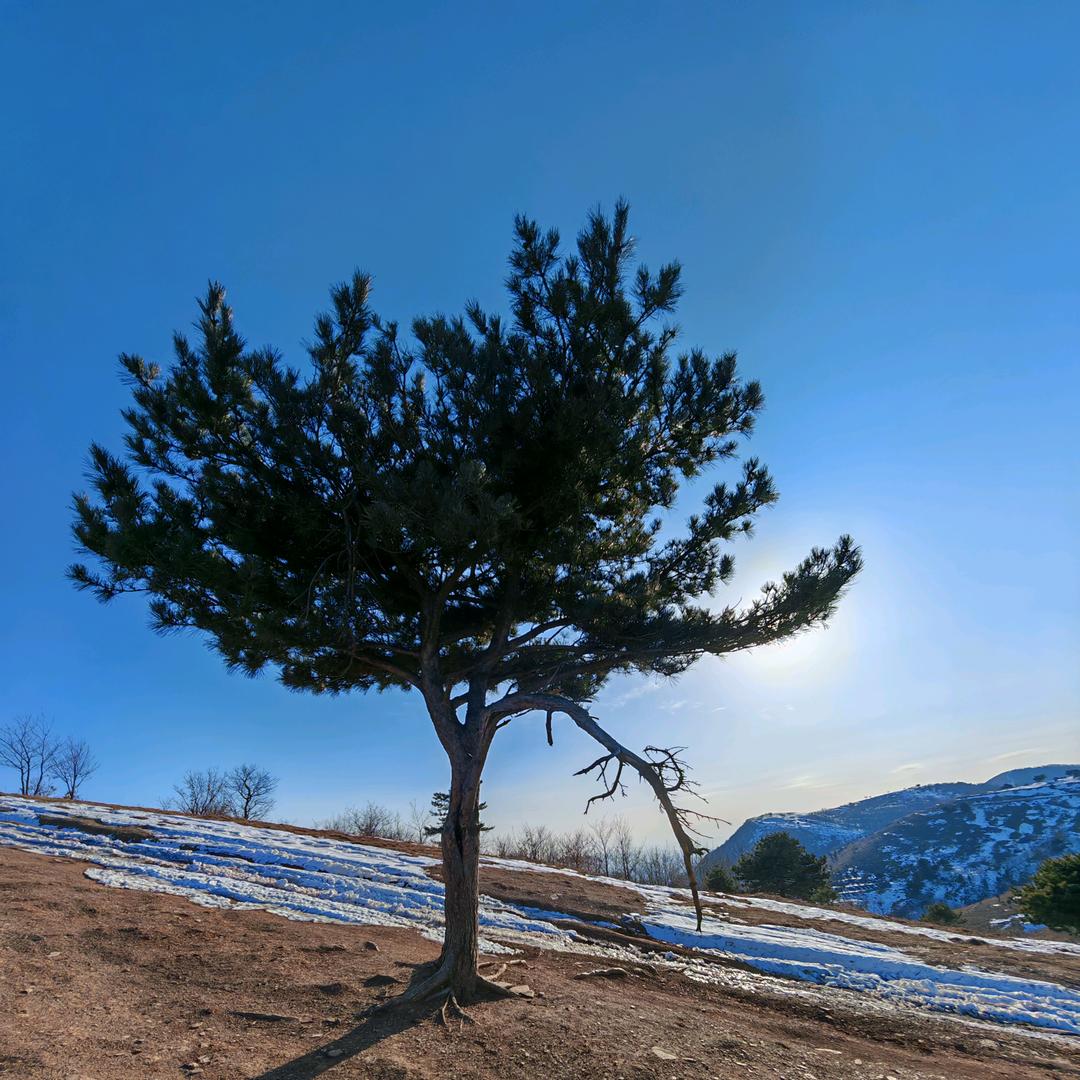 风语匠——第三季创造者